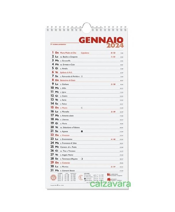 Agenda Paperblanks 2024, 12 Mesi, Midi, Giornaliera, Wilde | Guida Book  Store